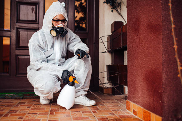Reliable Wasp Removal contractor in Kettering, OH by Show Me Pest Control